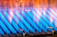 Linkenholt gas fired boilers